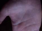 DSC02306.JPG
