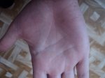 Ладонь2.JPG