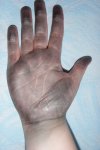 SDC10160.JPG