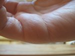 IMG_1742.jpg