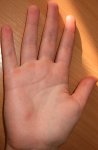 DSCF2799.jpg