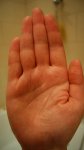 DSC00588.JPG