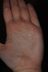 DSC_2493.JPG