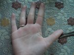 DSC06652.JPG
