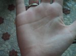DSC06653.JPG