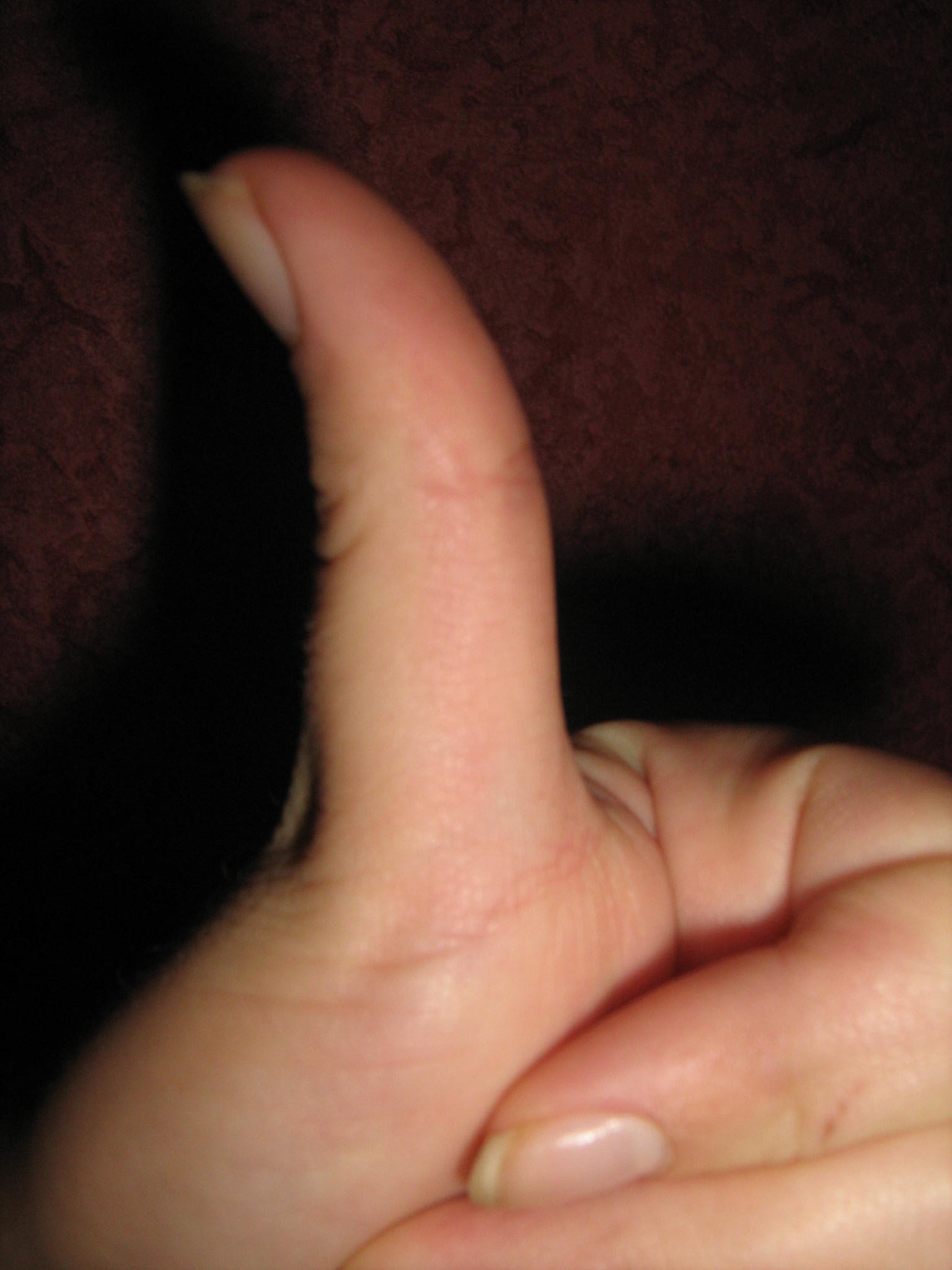 IMG_4544.jpg