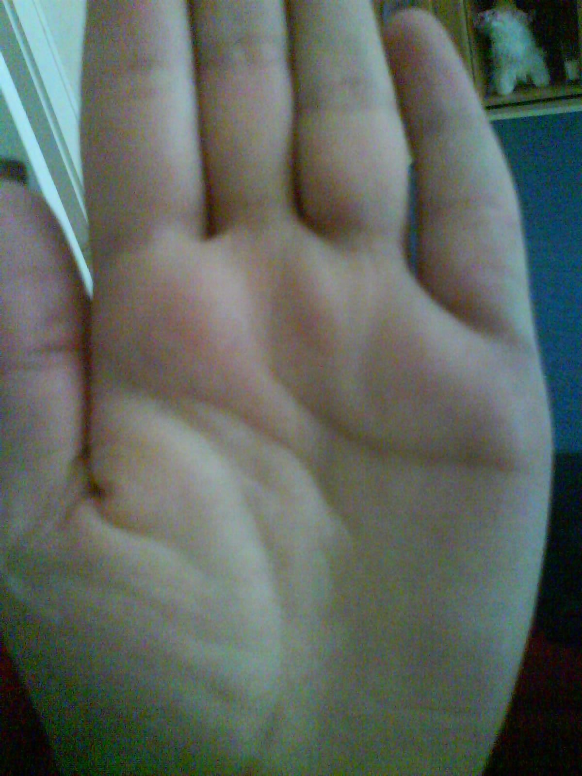 linke  hand.JPG