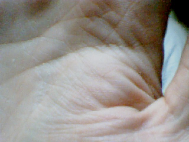 Picture 1427.jpg