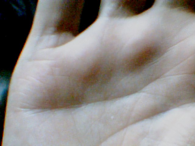 Picture 1438.jpg