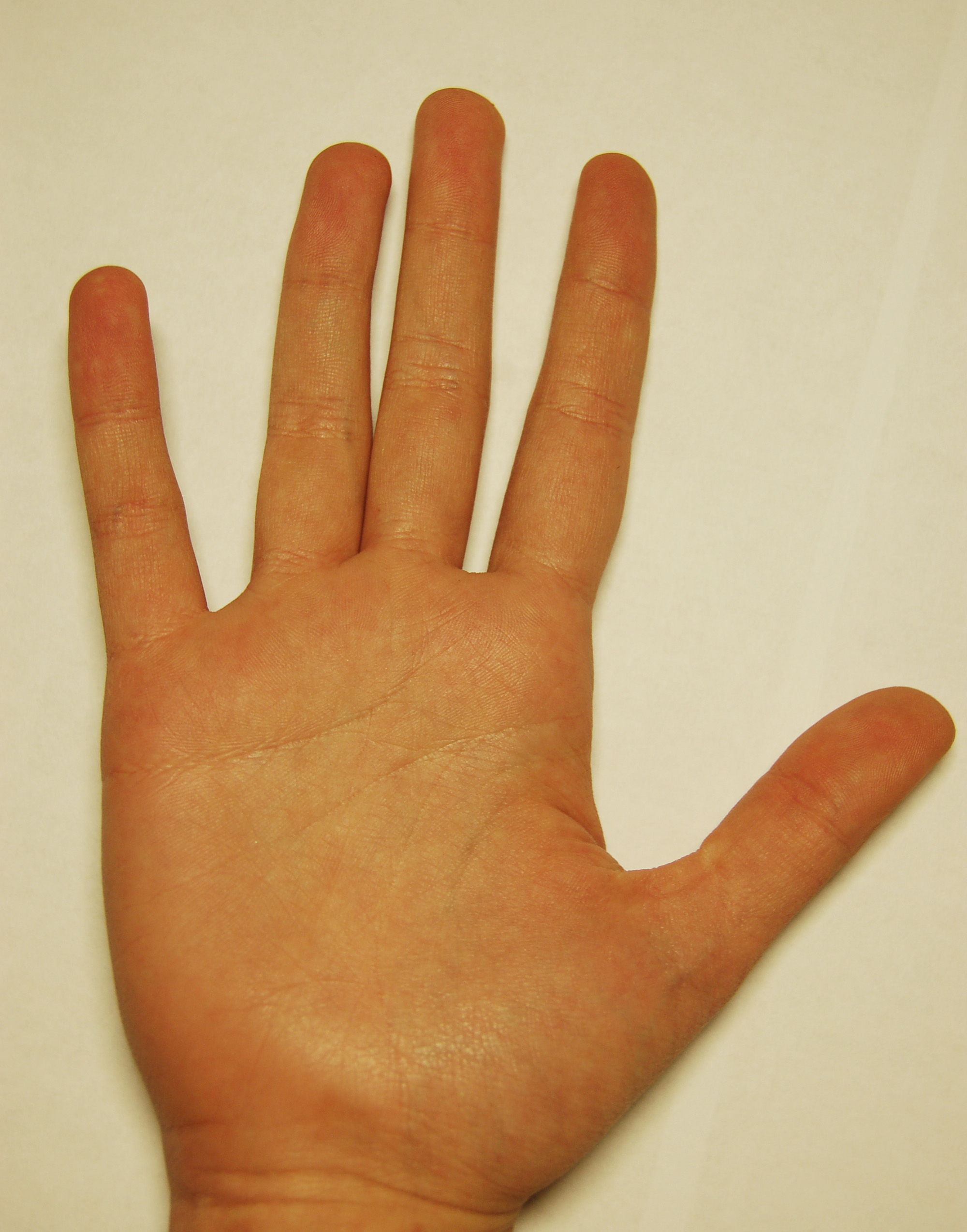 руки 0022.jpg