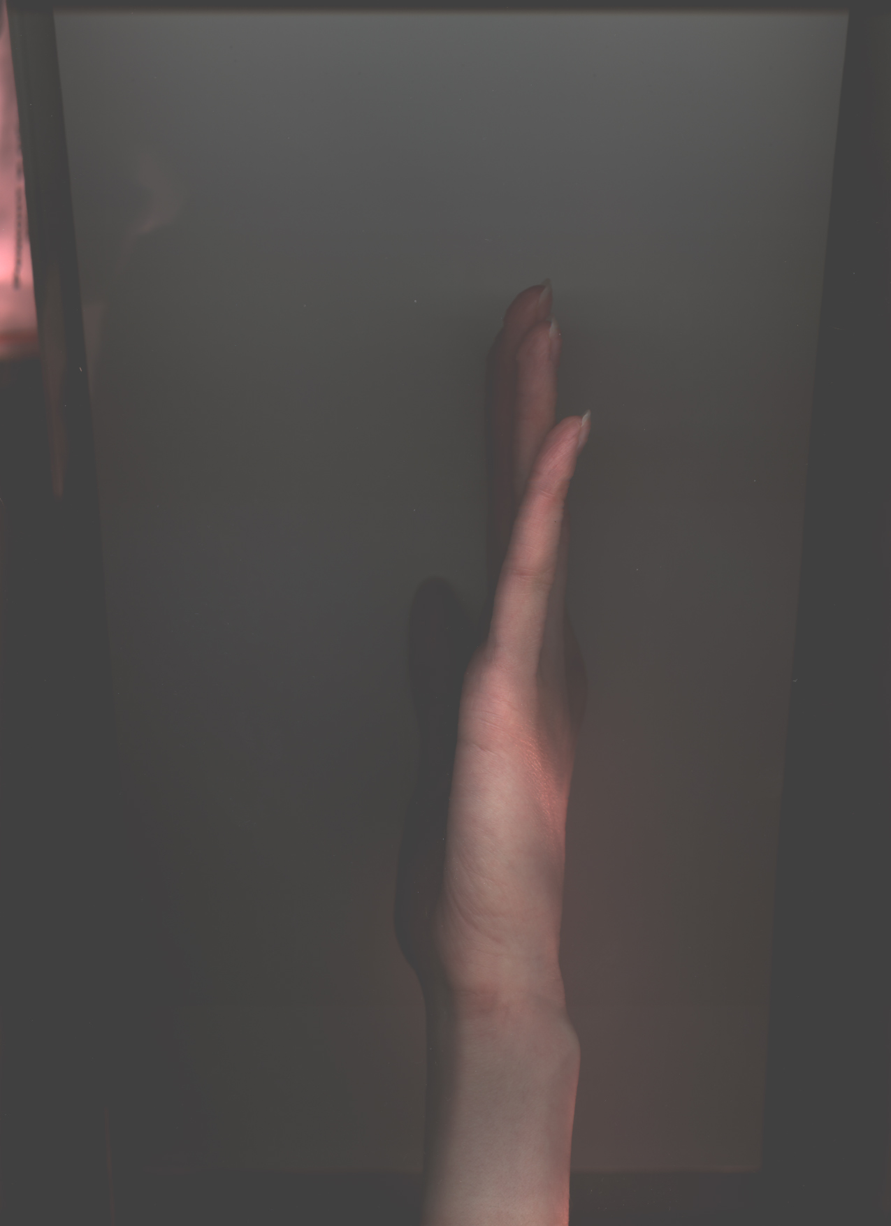 Torec_left.jpg