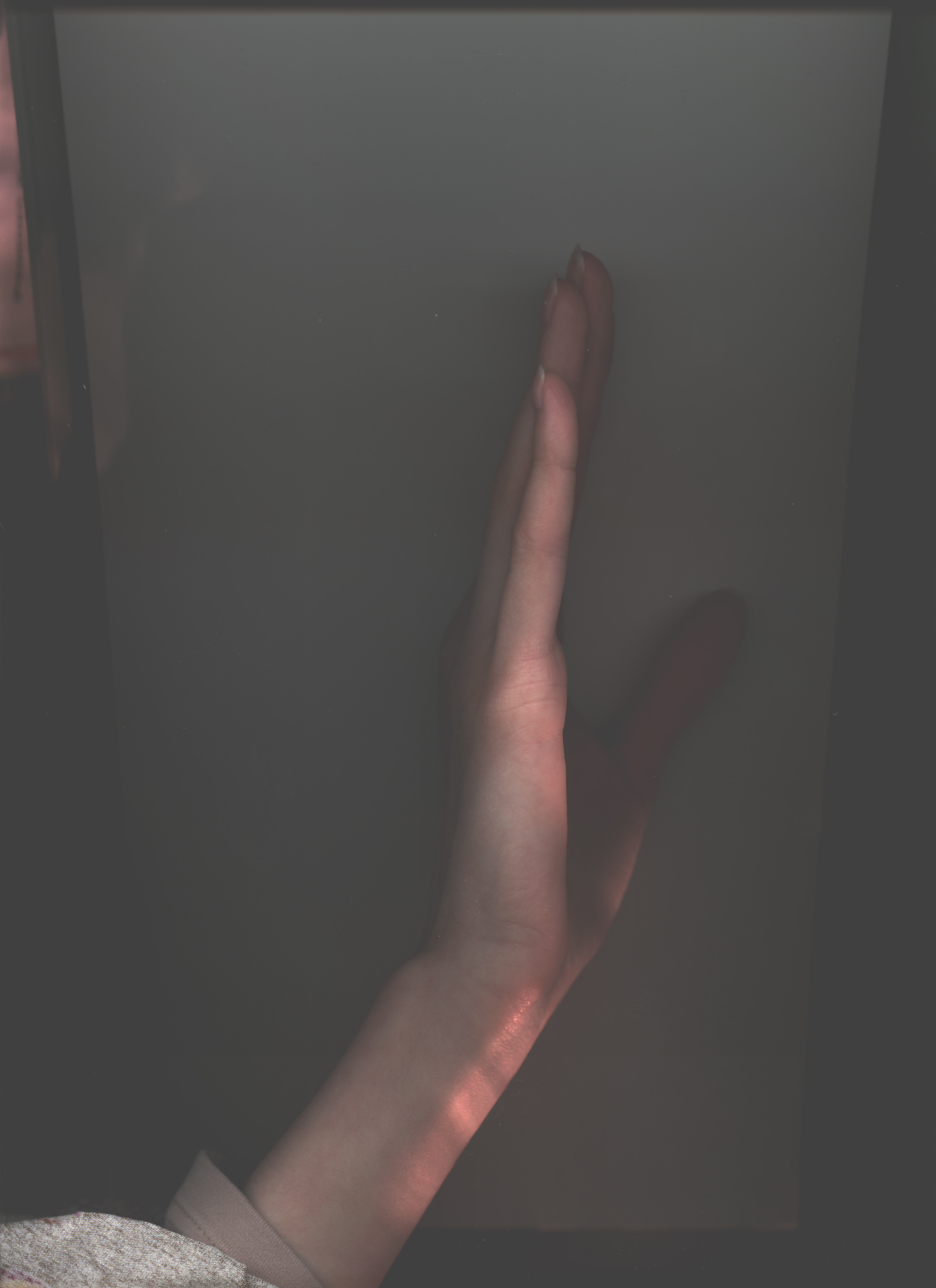 Torec_right.jpg