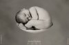 1929_anne_geddes_03.jpg